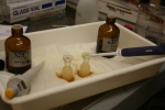 Experiments