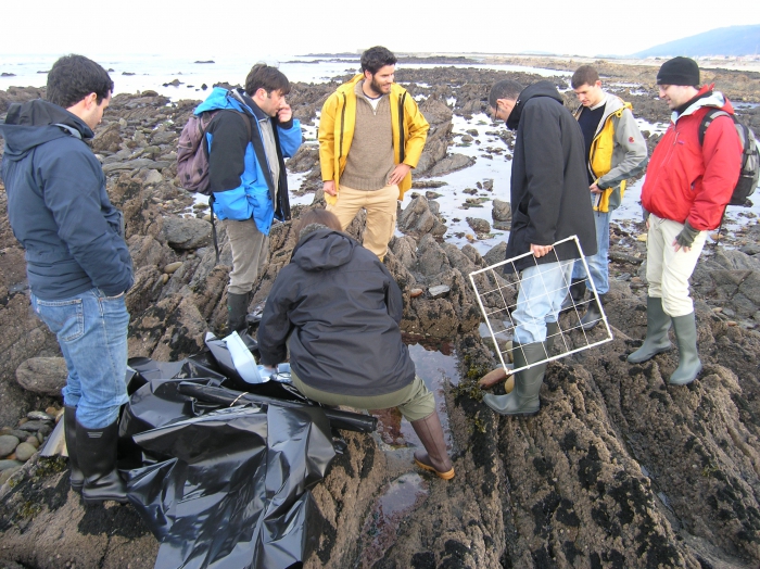 At the rockpools