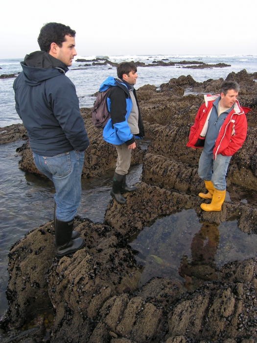 At the rockpools