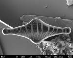 pl80 39 s