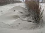 dynamisch zand, author: filip nuyttens