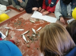 analysing species sample