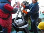 Van Veen Sample