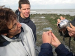 foto 2, author: filip nuyttens
