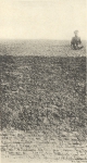 Massart (1908, foto 002) Massart (1908, foto 002)