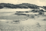 Massart (1908, foto 10)