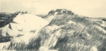 Massart (1908, foto 25)