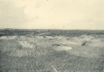 Massart (1908, foto 29)