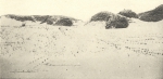 Massart (1908, foto 35)