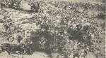Massart (1908, foto 036) Massart (1908, foto 036)