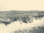 Massart (1908, foto 45)
