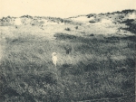 Massart (1908, foto 46)