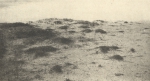 Massart (1908, foto 49)