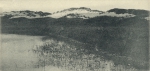 Massart (1908, foto 54)
