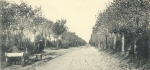 Massart (1908, foto 061) Massart (1908, foto 061)
