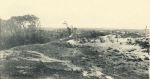 Massart (1908, foto 67)