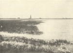 Massart (1908, foto 100) Massart (1908, foto 100)