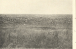 Massart (1908, foto 101) Massart (1908, foto 101)