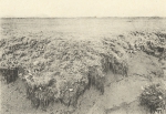 Massart (1908, foto 104) Massart (1908, foto 104)