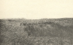 Massart (1908, foto 108) Massart (1908, foto 108)