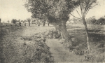 Massart (1908, foto 141)