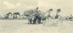 Massart (1908, foto 154)