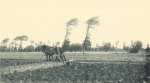 Massart (1908, foto 155)