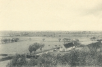 Massart (1908, foto 157)