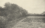 Massart (1908, foto 164) Massart (1908, foto 164)