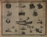 Sellius (1733, tabula 2 – zwart/wit) Sellius (1733, tabula 2 – zwart/wit)