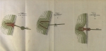 De Maere-Limnander (1875, pl. 2) De Maere-Limnander (1875, pl. 2)