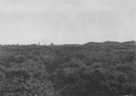 Massart (1913, foto 13) Massart (1913, foto 13)