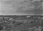 Massart, J. (1913). La cinquantième herborisation générale de la Société royale de Botanique de Belgique sur le littoral belge Bull. Soc. Roy. Bot. Belg. 51(2ième sér.)(1 (Vol. jubilaire)): 69-185, 41 plates Massart, J. (1913). La cinquantième herborisation générale de la Société royale de Botanique de Belgique sur le littoral belge Bull. Soc. Roy. Bot. Belg. 51(2ième sér.)(1 (Vol. jubilaire)): 69-185, 41 plates