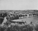 Massart (1913, foto 22) Massart (1913, foto 22)