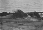 Massart (1913, foto 25) Massart (1913, foto 25)
