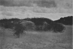 Massart (1913, foto 26) Massart (1913, foto 26)