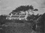 Massart (1913, foto 36) Massart (1913, foto 36)