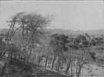 Massart (1913, foto 39) Massart (1913, foto 39)