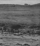 Massart (1913, foto 11) Massart (1913, foto 11)
