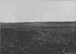 Massart (1913, foto 14) Massart (1913, foto 14)