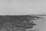 Massart (1913, foto 18) Massart (1913, foto 18)