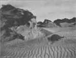 Massart (1913, foto 58) Massart (1913, foto 58)