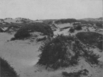 Massart (1913, foto 62) Massart (1913, foto 62)