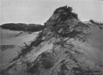 Massart (1913, foto 63) Massart (1913, foto 63)
