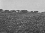 Massart (1913, foto 69) Massart (1913, foto 69)
