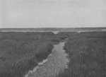Massart (1913, foto 74) Massart (1913, foto 74)