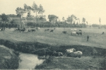 Polders