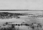 Wery (1908, foto 6) Wery (1908, foto 6)