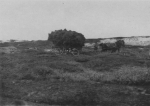 Wery (1908, foto 18) Wery (1908, foto 18)