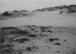 Wery (1908, foto 23) Wery (1908, foto 23)